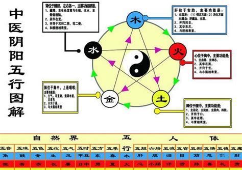 科技五行属什么|各行业对应五行